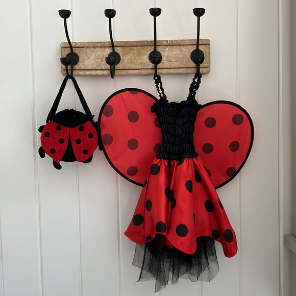 Other - Ladybug Dress up with Ladybug Purse